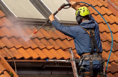 Démoussage et hydrofuge de toiture à la Mouche